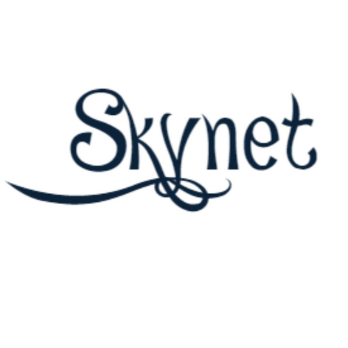 Skynet Online Store